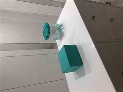 ALISON WILSON verified customer review of Classic - Tiffany Blue Eternity Roses - White Box