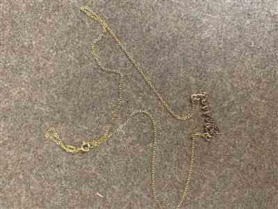Nancy Jolly verified customer review of Replacement Split Chain - Cable or Rolo