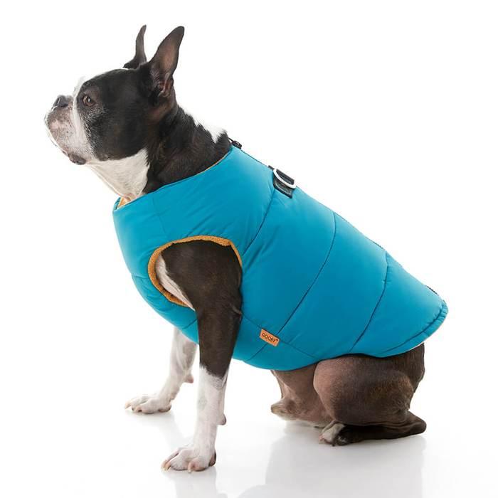 gooby dog sweater