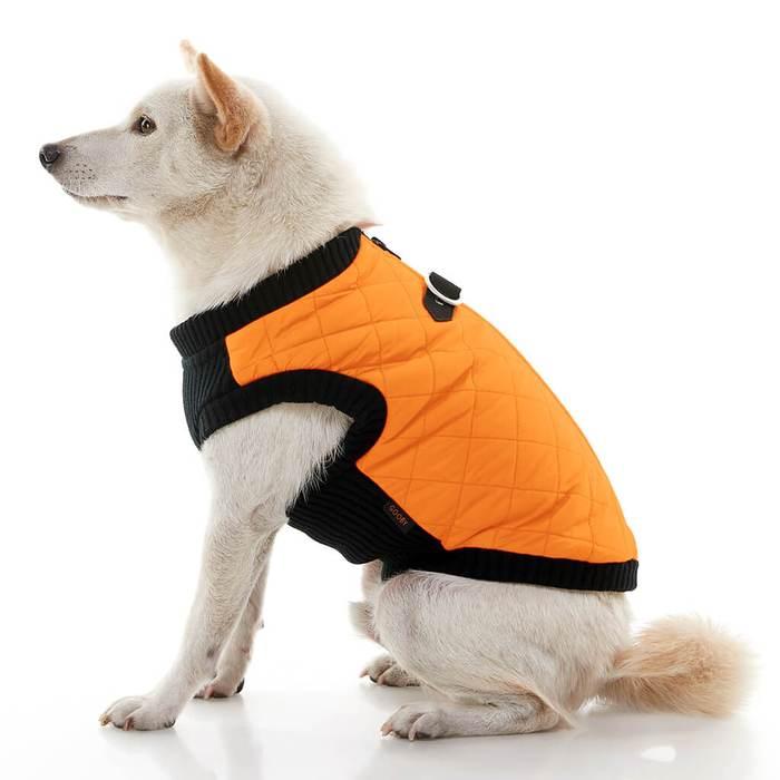 gooby dog jacket