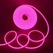 Cut to Length Outdoor LED Neon Flex