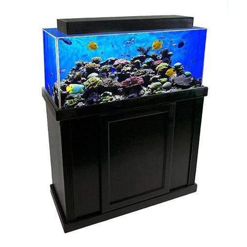 dream aquarium tanks