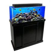 Clear for Life Rectangle 40 Gallon Acrylic Aquarium - Fresh or