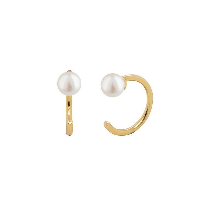 小物 ear 8-9810-13 AD718 アディマルズ ペディアトリック 小児用 コアラ