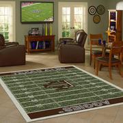 Philadelphia Eagles Football Rug