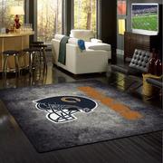 Detroit Lions Skyline Nfl Team Logos Living Room Carpet Rug Home