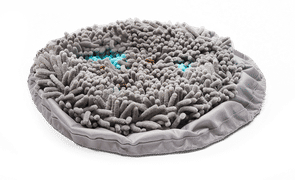 Forager® Bowl Product Image