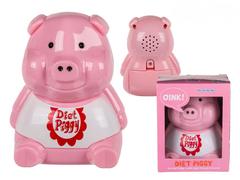 Dieet piggy Product Image