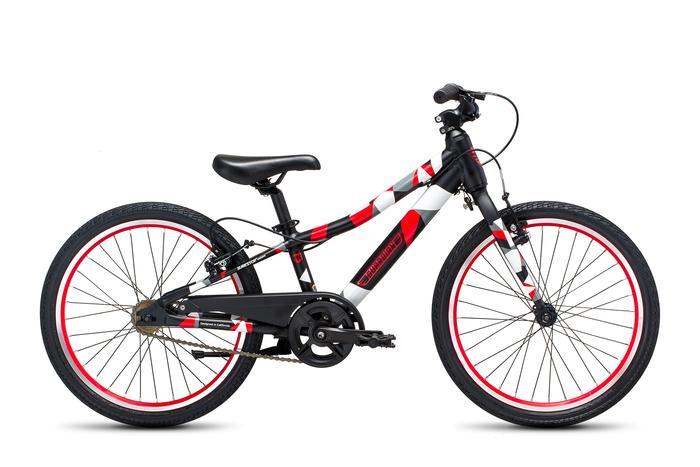 guardian 20 inch bike