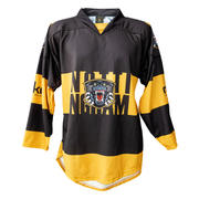 Search for Nottingham Panthers jersey accidentally given to