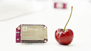 Buy Omega2 PAKR-A0086 Onion Product Image
