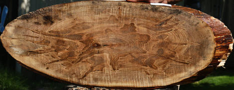 Ambrosia Maple Cookie Product Image