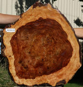 Elm Burl Cap Product Image