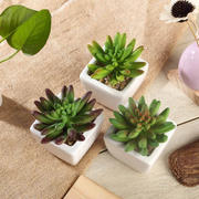 3-Pack Lotus Artificial Succulents in Ceramic Pot 4" - Realistic Maintenance-Free Faux Plants for Bathroom Coffee Table Shelves & Desk