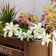 3 Pack Assorted Artificial Aeonium Spray Succulent Air Plants 18"