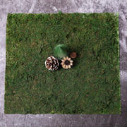 Preserved Natural Moss Wall Sheet Roll, Moss Landscape Panel 18"x16"
