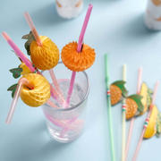 50-Pack Tropical Fruit Drinking Straws 10" Multi-Colored - Great for Pool Parties and Luaus