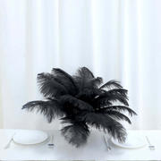 12 Pack Black Natural Plume Real Ostrich Feathers, DIY Centerpiece Fillers 13