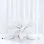 12 Pack White Natural Plume Real Ostrich Feathers, DIY Centerpiece Fillers 13"-15"