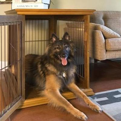 zenhaus dog crate