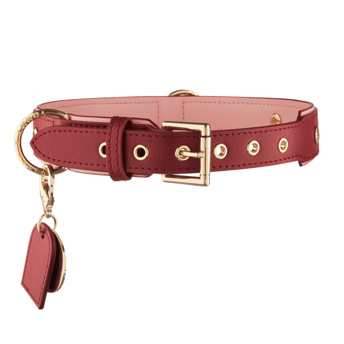 maroon dog collar
