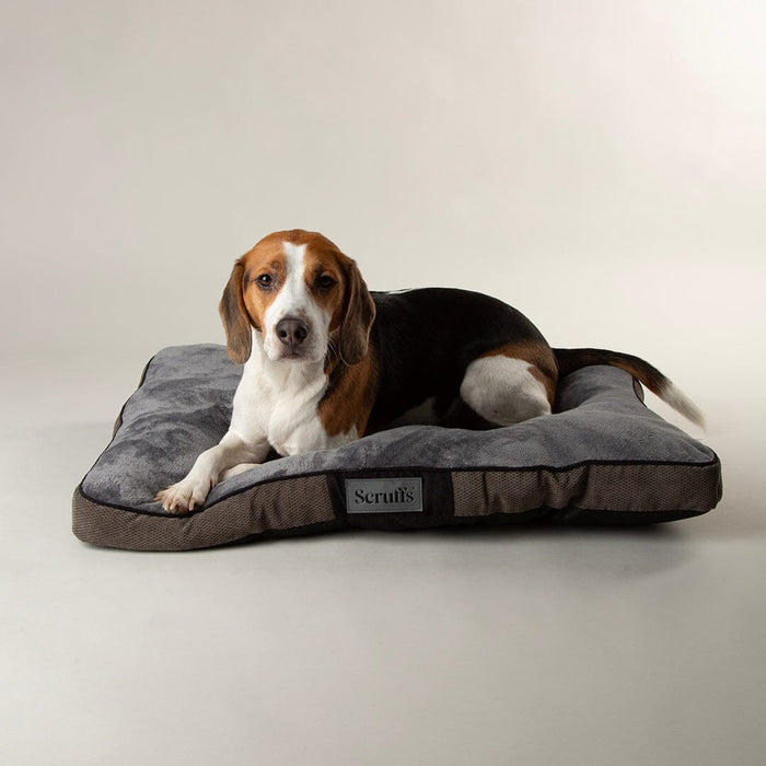 scruffs dog beds uk