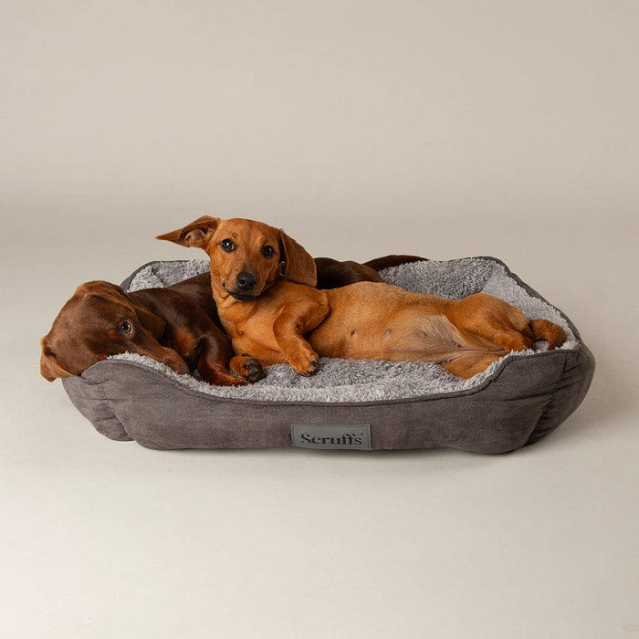 Little cracker 2024 dog beds