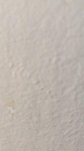 SleeBD CBD Capsules - Pure - Customer Photo From Mike MacCoubrey