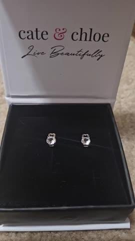 Marian 18k White Gold Heart Earrings with Round Cut Crystals - Customer Photo From ChelleG