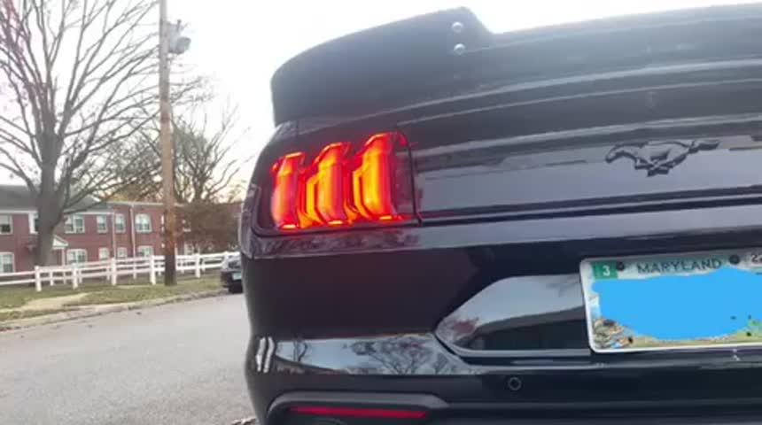 3" Cat Back, Dual Split Rear, Race Version, 4.5" tips, T409, Ford Mustang 2.3 EcoBoost - not convertible 2015 - 2021 - Customer Photo From Ashley Forney