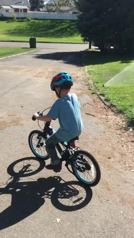 20 Inch Kids Bikes w/ Award-Winning SureStop | Guardian Bikes Original ...