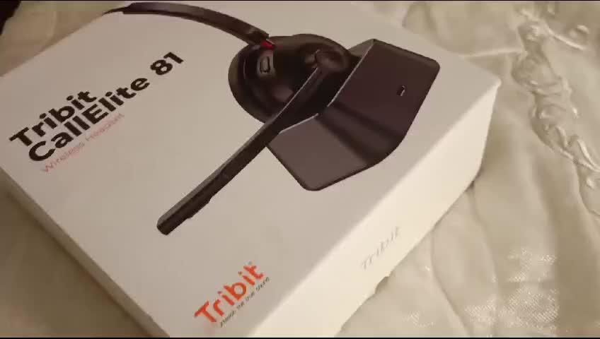 Tribit CallElite 81 Wireless Headset with Microphone, Tribit Bluetooth 5.0 Cell Phone Headphone Qualcomm QCC3020, AI Noise Canceling & CVC 8.0 for Home Office, Mute Button 50H Talk time, USB-A Dongle for PC - Customer Photo From Hamza Bin Tahir