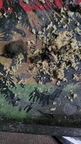 Blueberry Hash - 3.5 Grams - Customer Photo From Kevin Granade