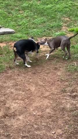 ULTRA DURABLE Frisbee - Customer Photo From Kevin D.