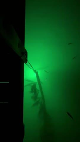 Green Blob Outdoors Underwater LED Fishing Light, 15000 Lumen, Made in Texas - Customer Photo From David Ellis