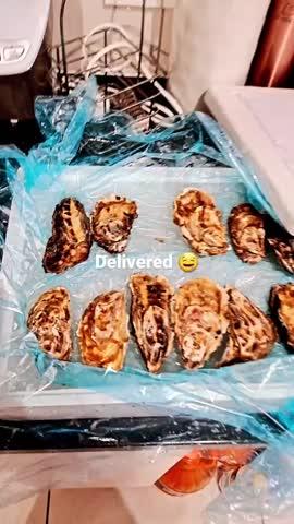 Large Fresh Oysters | Live Box | Farmed on the West Coast | x12 - Customer Photo From Athenkosi B.