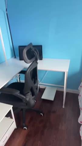 Dowinx FlexDesk L Series White - Customer Photo From Selina