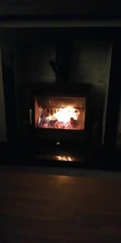 City Bag® Kiln Dried Oak Firewood - Customer Photo From Kenneth Daly