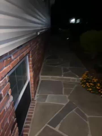 Outdoor Solar-Powered 212 LED Motion Sensor Light (4-pack) - Customer Photo From Cecilia Moran