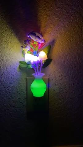 Mushroom LED Night Light - Floral - Customer Photo From Shae Zalenski