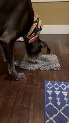 Forager® Mat - Customer Photo From Karla Burden