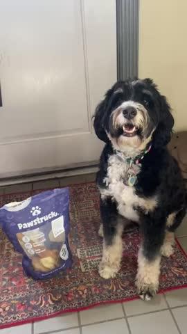 1lb Bizarre Bargain Grab Bag - Customer Photo From Sandra Worthington