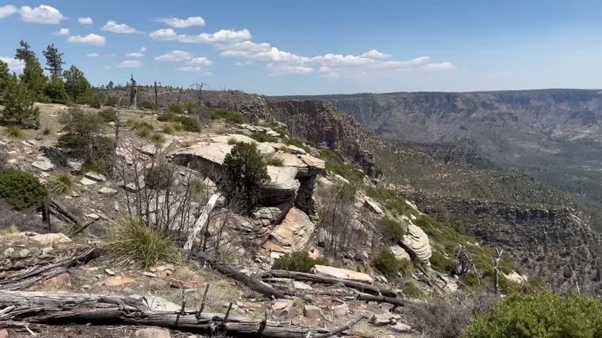 Coconino National Forest Travel Map, 2023 - Customer Photo From Anonymous