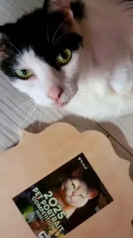Trekell 2026 Juried Pet Portrait Competition Panel - Customer Photo From Elizabeth Eichelberger
