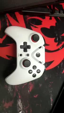 Cosmic Byte ARES Controller for PC with Magnetic Triggers - Customer Photo From Shouvik Ghosh