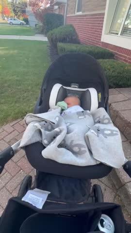 Mockingbird Single-to-Double Stroller 2.0