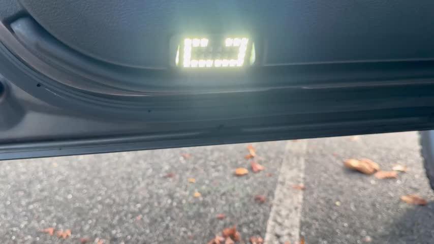 Meso Customs Ultimate Courtesy Lights For 4Runner (2010-2024) - Customer Video From Nitin John