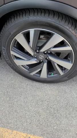 PermaShine Tire Coating - Customer Photo From Mike Host