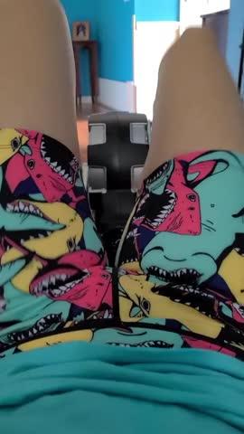 Shorts | Shark Attack - Customer Photo From Dana Stello