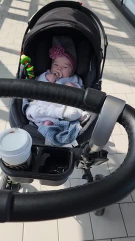 G5 Stroller Handlebar Assembly - Customer Photo From Nataliya Angel